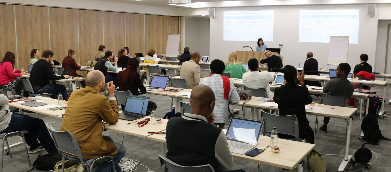 Workshop in Cape Town (South Africa)