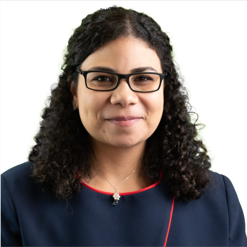 Lina Abdelfattah